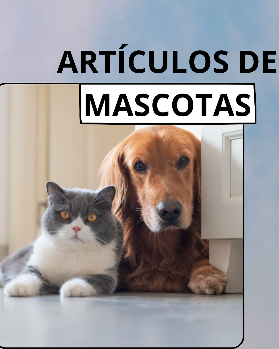 MASCOTAS